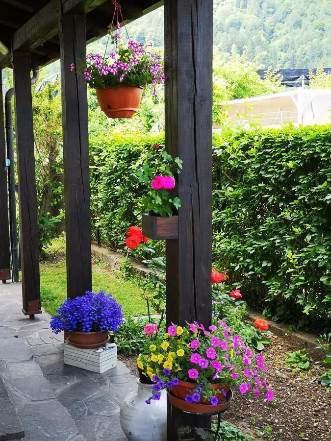 Appartamenti Casa Viviana Pergine Valsugana Eksteriør bilde