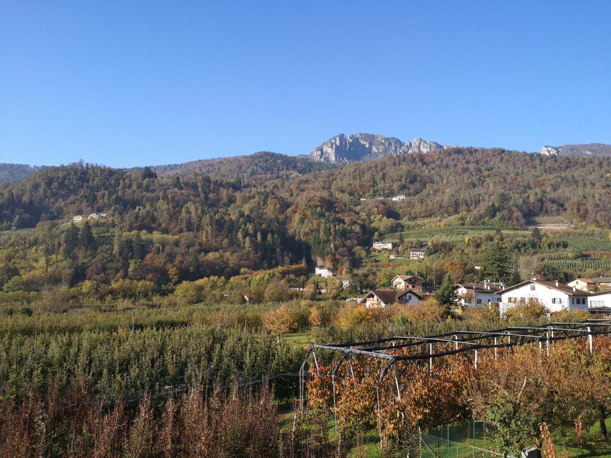 Appartamenti Casa Viviana Pergine Valsugana Eksteriør bilde
